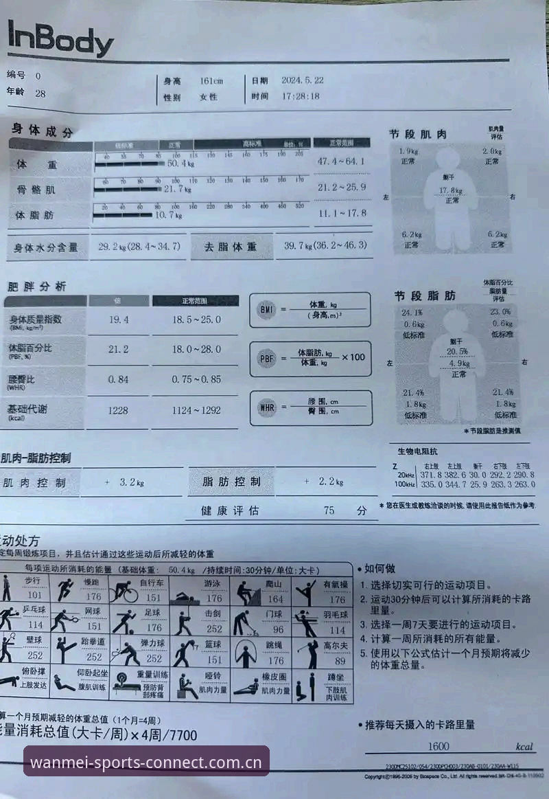 完美体育平台全面评测：从下载到使用，新手必读的体验报告